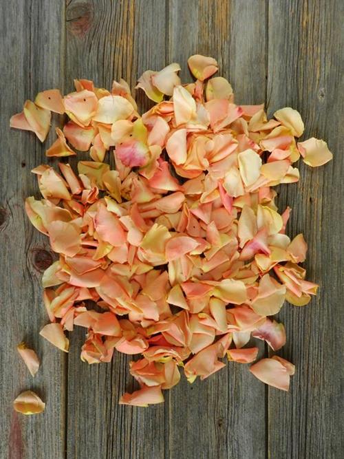 360 GRAMS PEACH ROSE PETALS